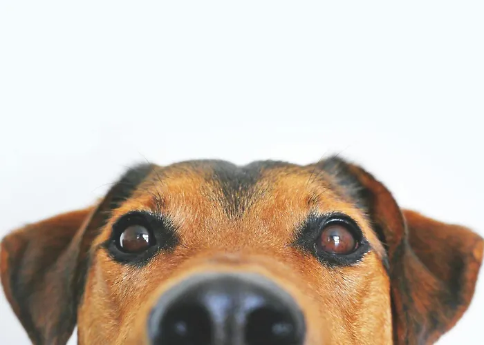 Garner By Ihg Фридрихсхафен